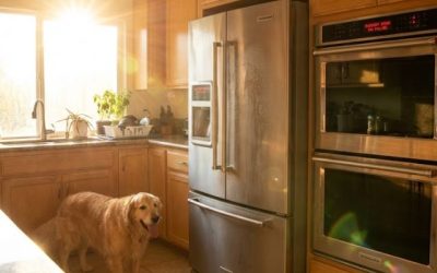 Pasadena KitchenAid Repairs: Top Appliance Issues We See Every Summer